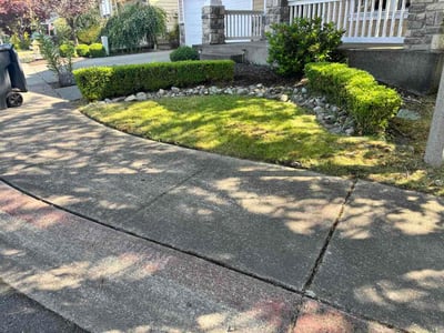Lawn Care service in Bonney Lake, 98391