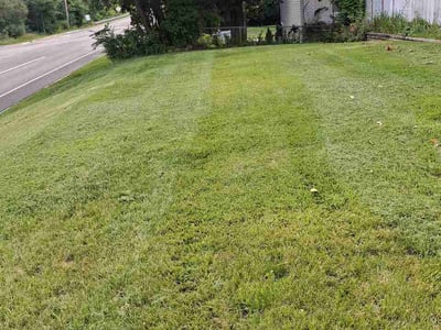 Lawn Care service in Dekalb, 60115