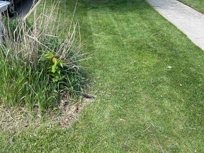 Lawn Care service in Dekalb, 60115