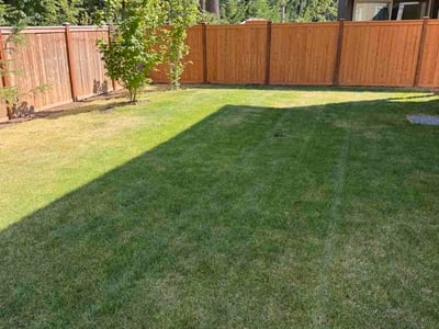 Lawn Care service in Everett, 98201
