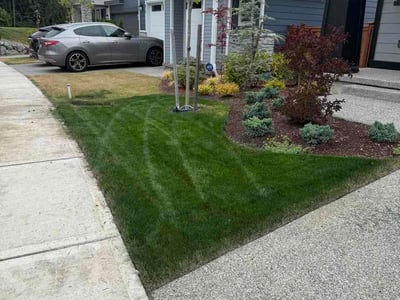 Lawn Care service in Everett, 98201