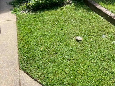 Lawn Care service in Columbia, 21044