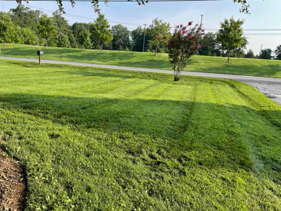 Lawn Care service in Columbia, 21044