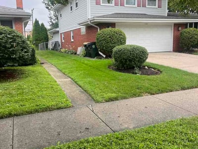 Lawn Care service in Arlington Heights, 60004