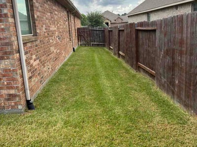Lawn Care service in Kingwood, 77339