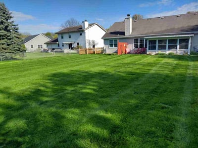 Lawn Care service in Elm Grove, 53122