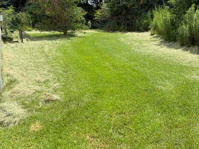 Lawn Care service in Renton, 98057