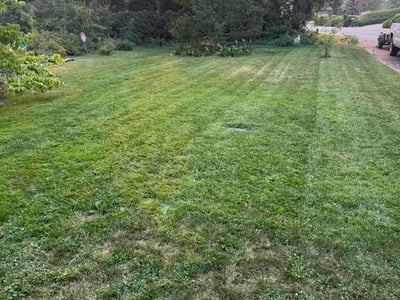 Lawn Care service in Colville, 99114