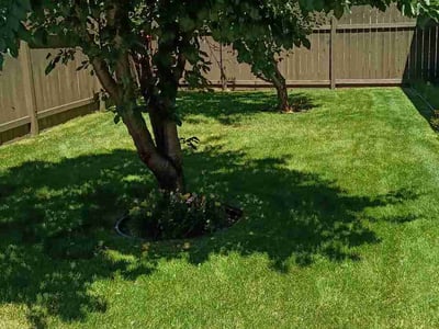 Lawn Care service in Colville, 99114