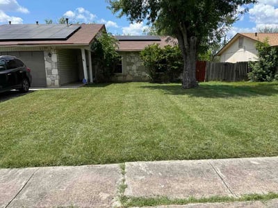 Lawn Care service in Helotes, 78023