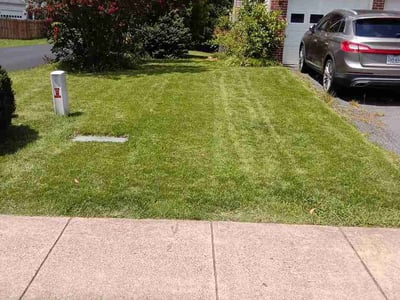 Lawn Care service in Stafford, 22554
