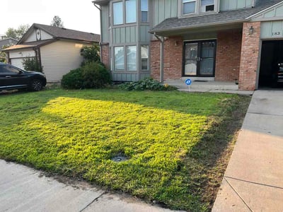 Lawn Care service in Renton, 98057