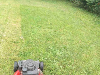 Lawn Care service in Greenfield, 46140