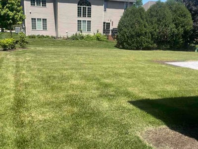 Lawn Care service in Lisle, 60532