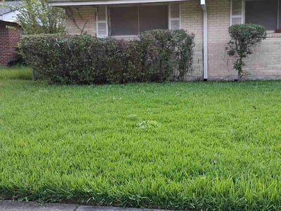 Lawn Care service in Mandeville, 70448