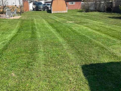 Lawn Care service in Lisle, 60532