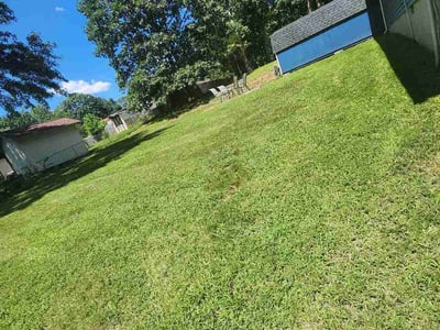 Lawn Care service in Chantilly, 20151