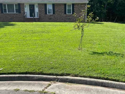 Lawn Care service in Colonial Heights, 23834