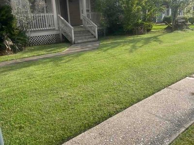 Lawn Care service in Gonzales, 70737