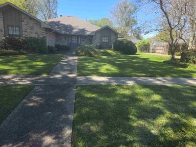 Lawn Care service in Livingston, 70754
