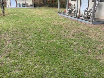 Lawn Care service in Gonzales, 70737