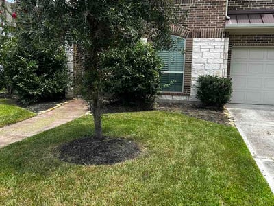 Lawn Care service in Manvel, 77578