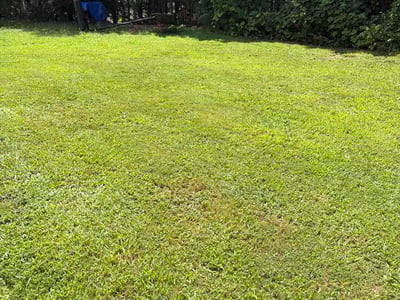 Lawn Care service in Villa Rica, 30180