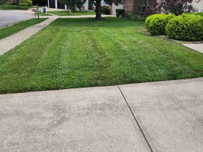 Lawn Care service in Haysville, 47546