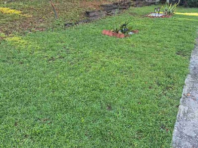 Lawn Care service in Peachtree City, 30269