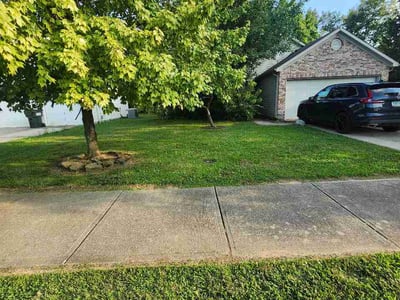 Lawn Care service in Haysville, 47546