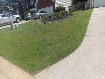 Lawn Care service in Peachtree City, 30269