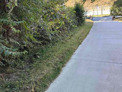 Lawn Care service in Hamden, 06518