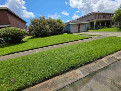 Lawn Care service in Gretna, 70053