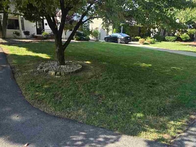 Lawn Care service in Lexington, 40508