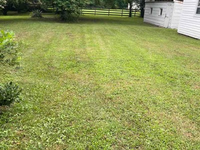 Lawn Care service in Powhatan, 23139
