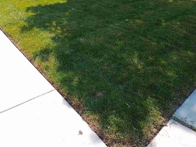 Lawn Care service in Eagle Mountain, 84005