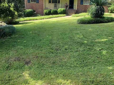 Lawn Care service in Chester, 23831