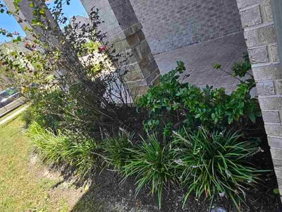 Lawn Care service in Kent, 98032