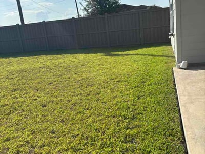Lawn Care service in Fresno, 77545