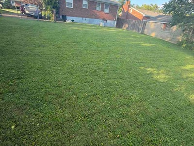 Lawn Care service in Sellersburg, 40475