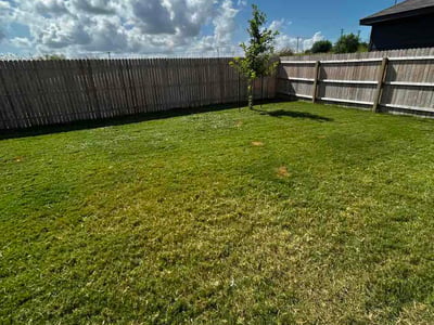 Lawn Care service in Olmos Park, 78212