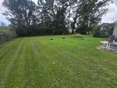 Lawn Care service in Porter, 77365
