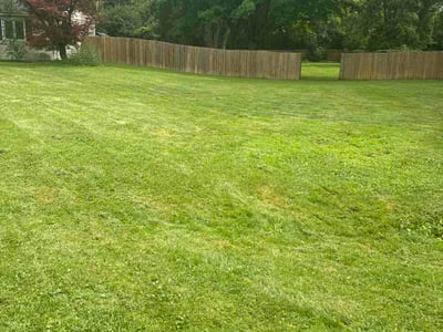 Lawn Care service in Zion, 60099
