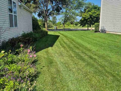 Lawn Care service in Joliet, 60432