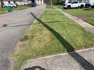Lawn Care service in Belle Chasse, 70037
