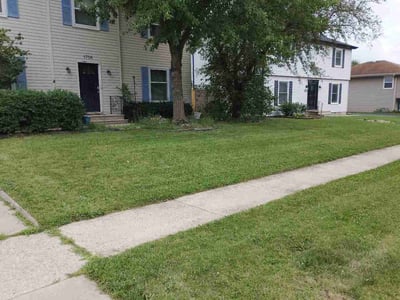 Lawn Care service in Joliet, 60432