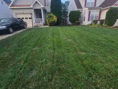 Lawn Care service in Woodbridge, 22191