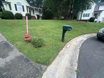 Lawn Care service in Prince George, 23875