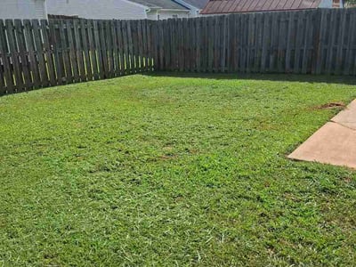 Lawn Care service in Griffin, 30224
