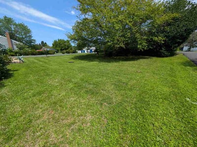 Lawn Care service in Berryville, 22611